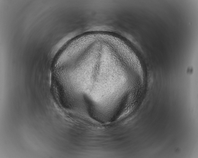 X0000110911221200907021427