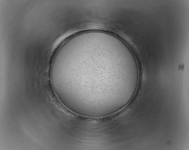 X0000110911222200907021427