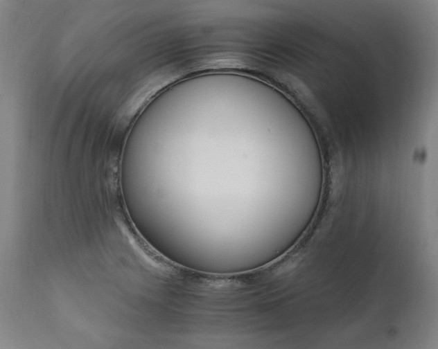 X0000110911225200907021427