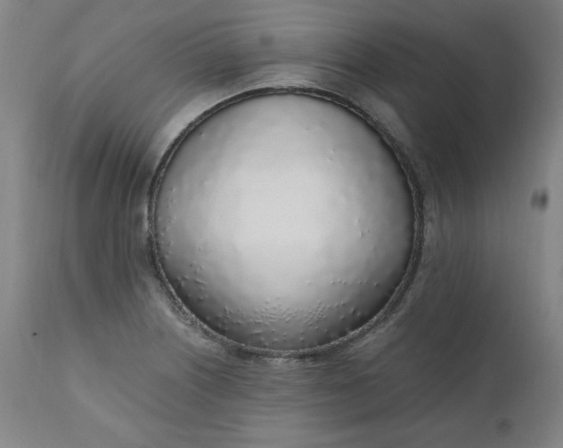 X0000110911226200907021427