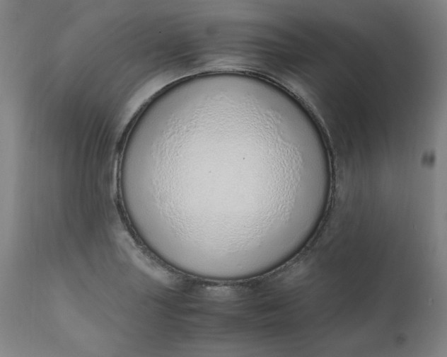 X0000110911227200907021427