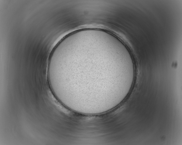 X0000110911228200907021427