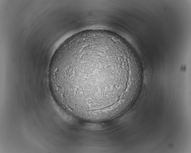 X0000110911229200907021427