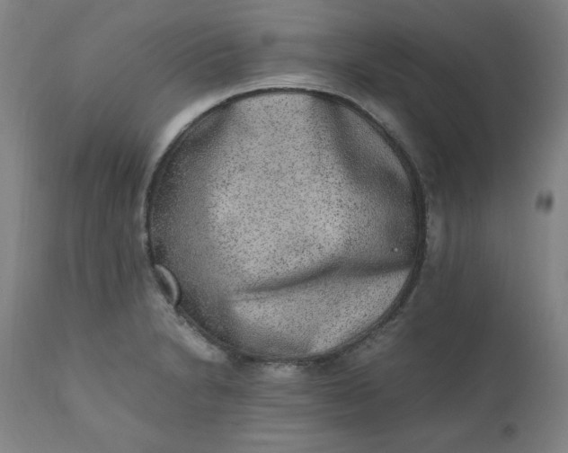 X0000110911230200907021427