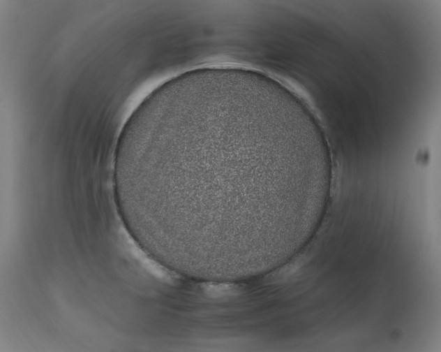 X0000110911231200907021427