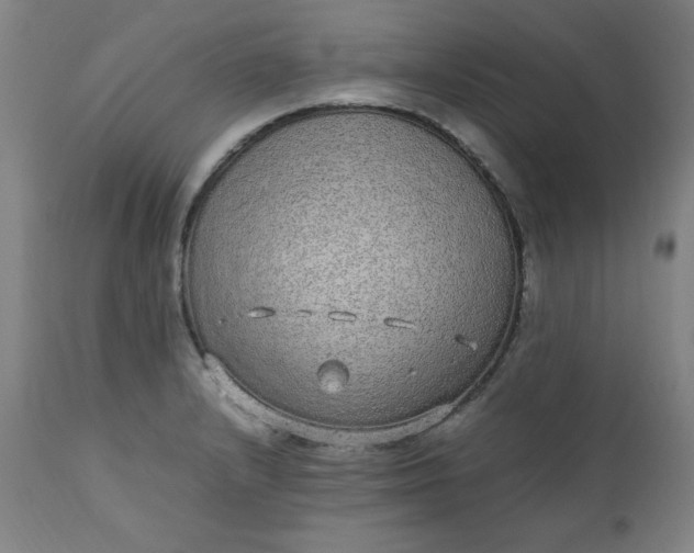 X0000110911232200907021427