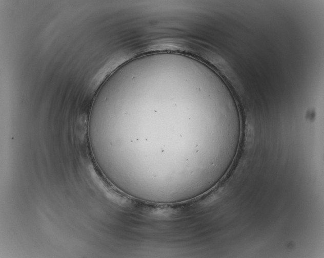 X0000110911233200907021427