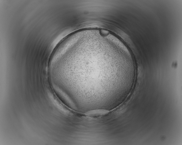 X0000110911234200907021427