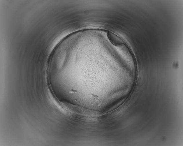 X0000110911235200907021427