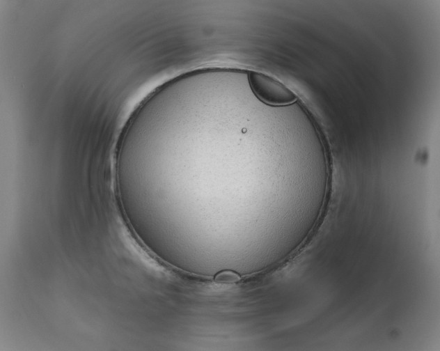 X0000110911238200907021427