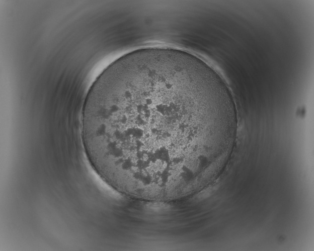 X0000110911239200907021427