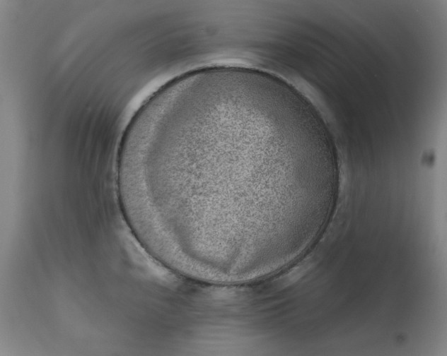 X0000110911240200907021427