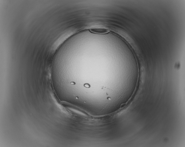 X0000110911241200907021427