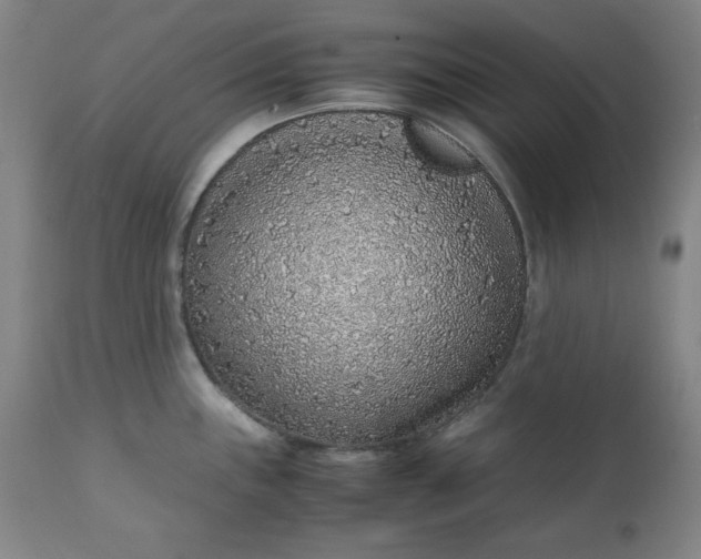 X0000110911243200907021427