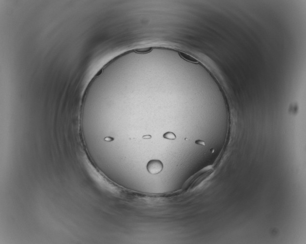 X0000110911244200907021427