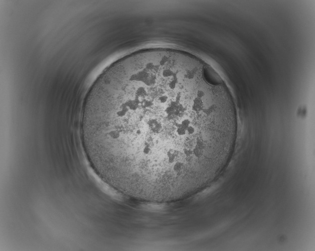 X0000110911245200907021427