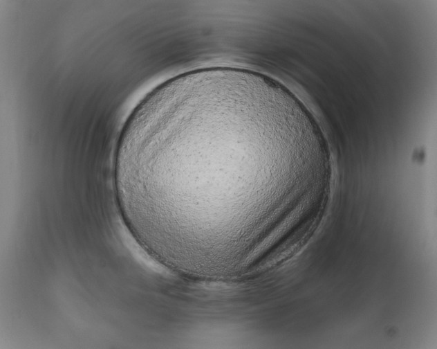 X0000110911246200907021427