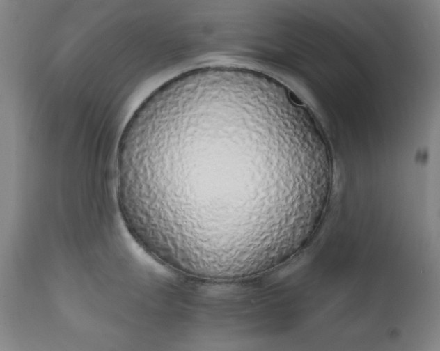 X0000110911247200907021427