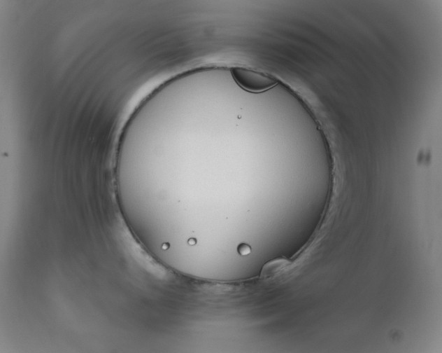 X0000110911248200907021427