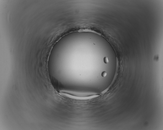 X0000110911249200907021427