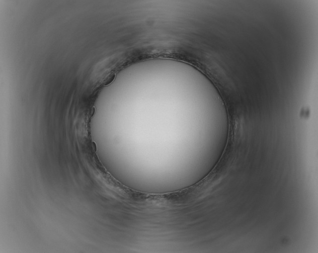 X0000110911250200907021427