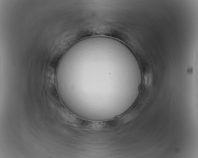 X0000110911251200907021427