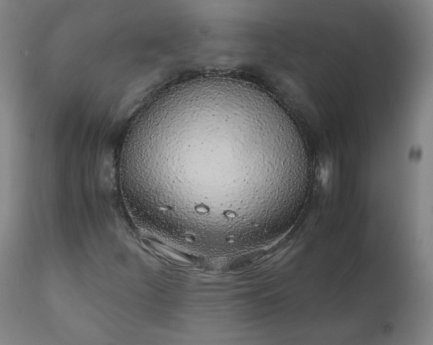 X0000110911252200907021427