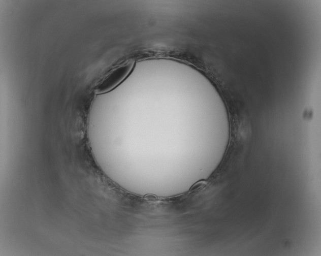 X0000110911253200907021427