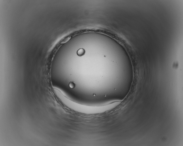 X0000110911256200907021427