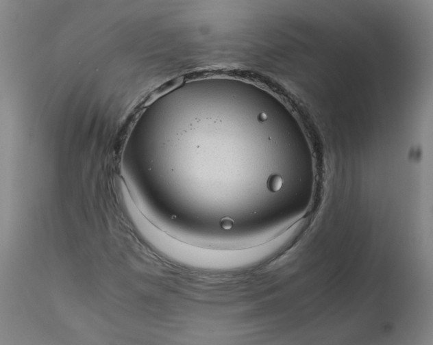 X0000110911257200907021427