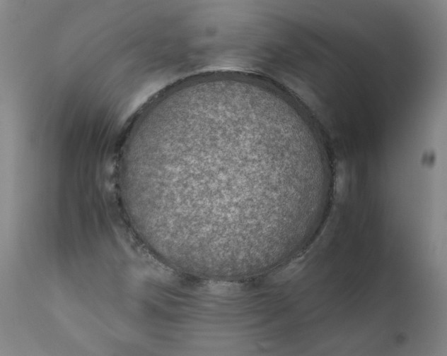 X0000110911258200907021427