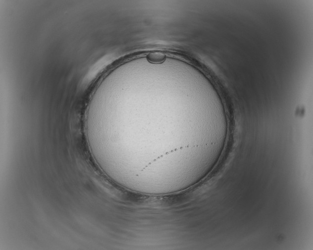 X0000110911259200907021427