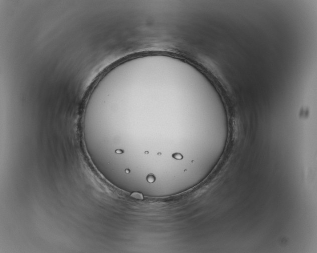 X0000110911260200907021426