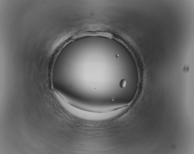 X0000110911261200907021426