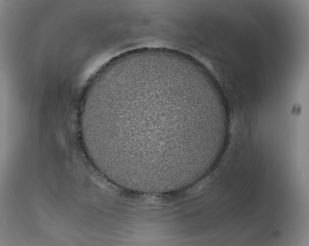 X0000110911263200907021426