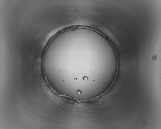 X0000110911264200907021426