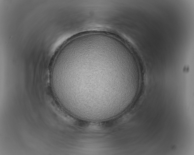 X0000110911267200907021426