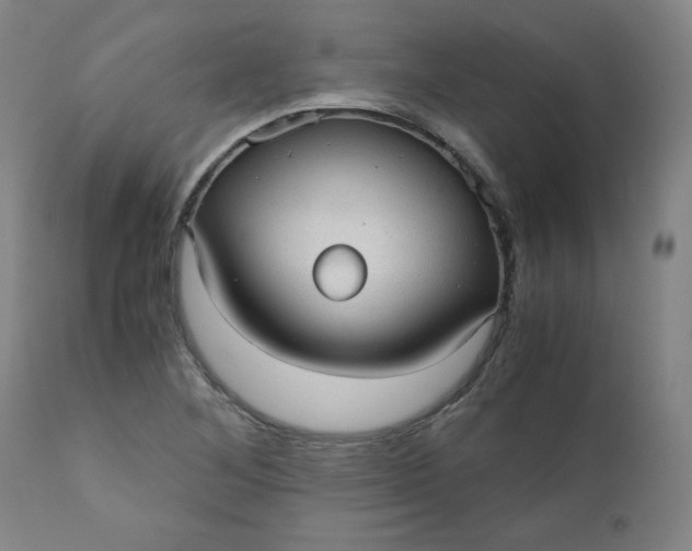 X0000110911268200907021426