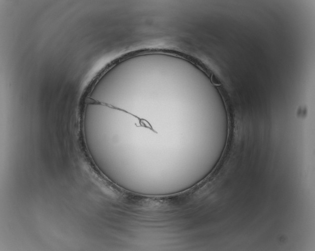 X0000110911270200907021426