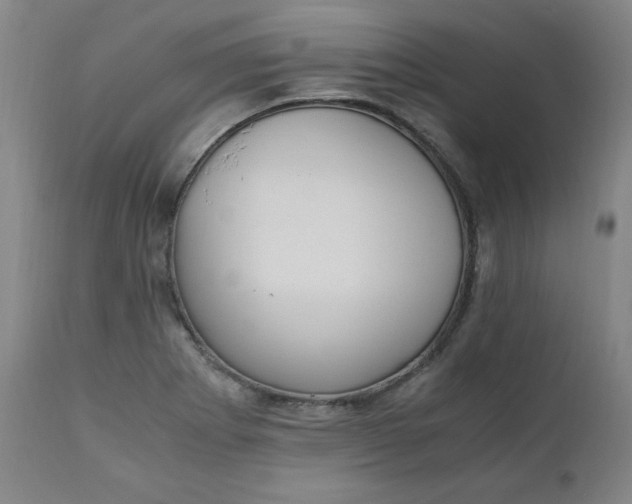 X0000110911273200907021426