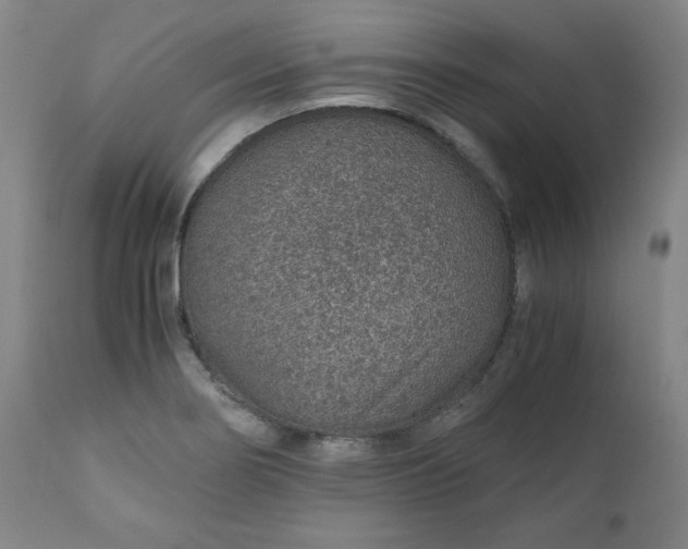 X0000110911274200907021426