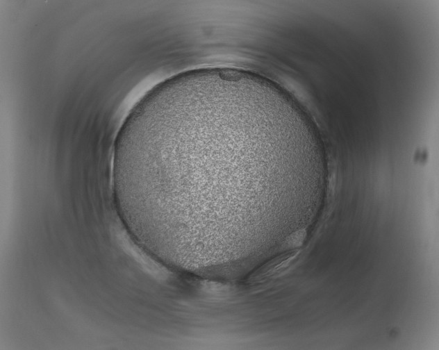 X0000110911275200907021426