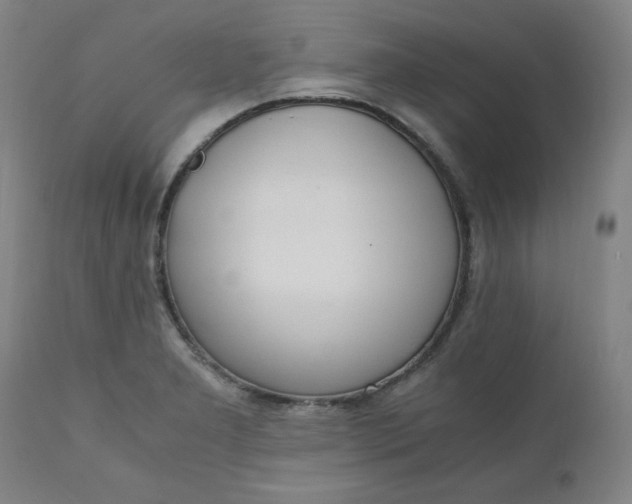 X0000110911277200907021426