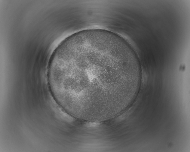 X0000110911278200907021426