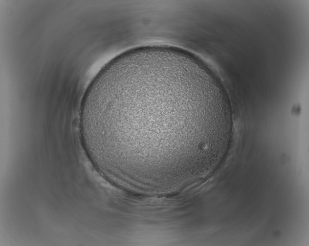 X0000110911279200907021426