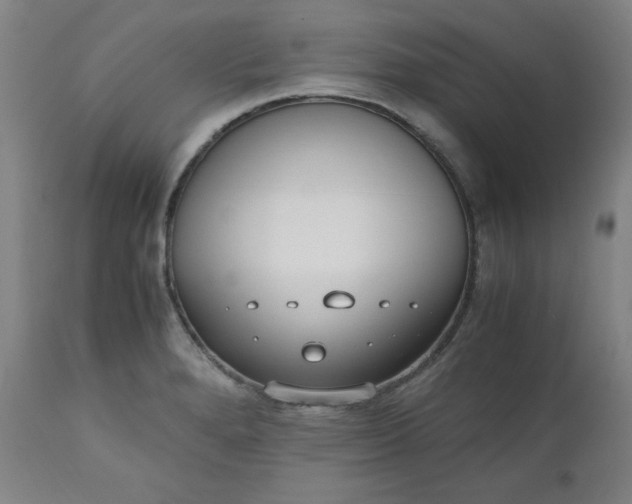 X0000110911280200907021426