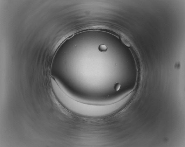 X0000110911281200907021426