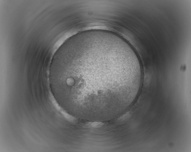 X0000110911282200907021426