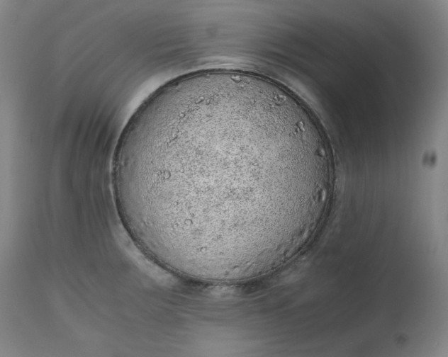 X0000110911283200907021426