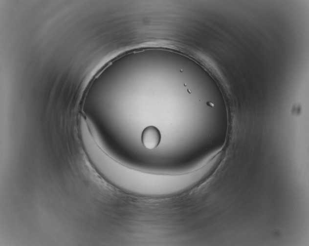 X0000110911284200907021426